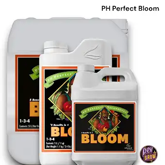 Bloom Ph Perfect Advanced...