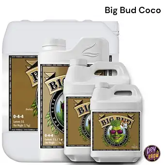 Big Bud Coco Advanced...