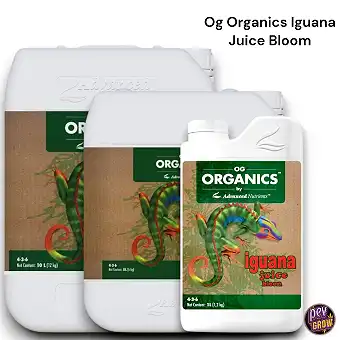 Iguana Juice Organic Bloom...