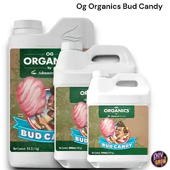 OG Organics Bud Candy