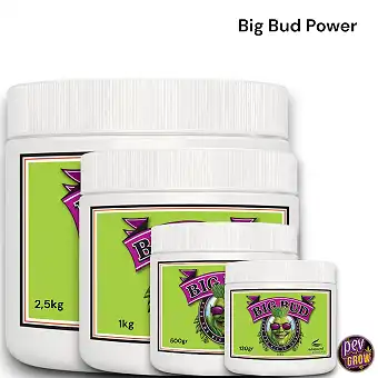 Big Bud Powder Advanced...