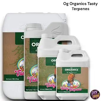 OG Organics Tasty Terpenes...