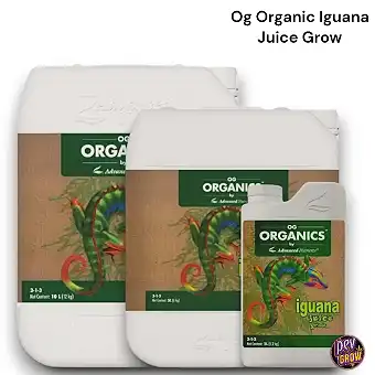 Organic Iguana Juice Grow...