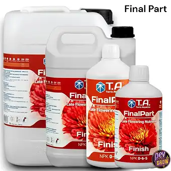 Final Part (Ripen) Terra...