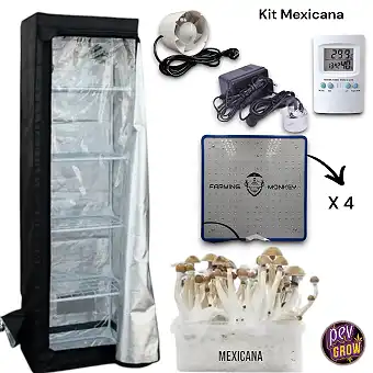 Pro Expert Mushroom Kit