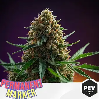 Permanent Marker PEV Seed –...