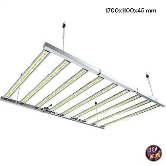 Lazerlite Pro 1080W 3.1 LED...