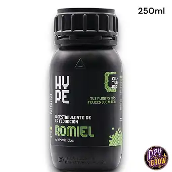 Romiel The Hype Company –...