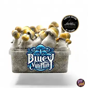 Bluey Vuitton Funghi Magici