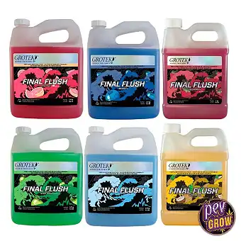 Final Flush Grotek – Gatzak...