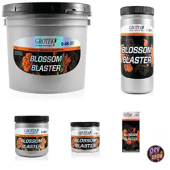 Blossom Blaster Grotek –...