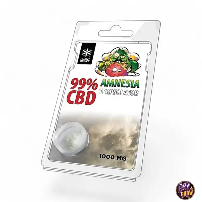 TERPSOLATOR CBD 99% AMNESIA 1000MG