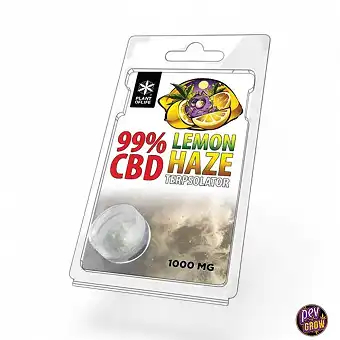 TERPSOLATOR CBD 99% LEMON HAZE 1000MG