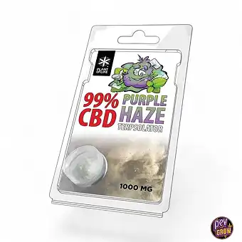 TERPSOLATOR CBD 99% PURPLE HAZE 1000MG