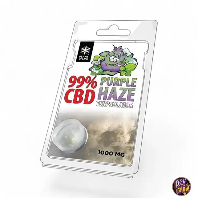 TERPSOLATOR CBD 99% PURPLE HAZE 1000MG