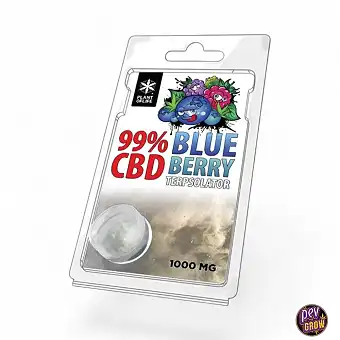 TERPSOLATOR CBD 99% BLAUBEERE 1000MG