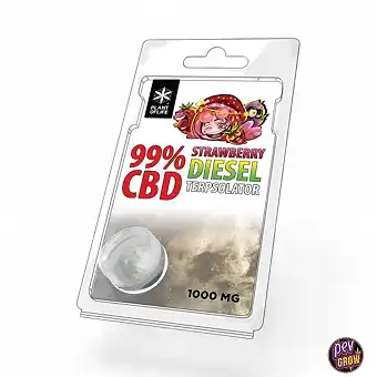 TERPSOLATOR CBD 99% STRAWBERRY DIESEL 1000MG