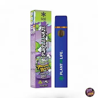 Vaporizador Desechable Eliquid 20% CBD Purple Haze 1ML