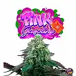 Pink Gasoline Perfect Tree