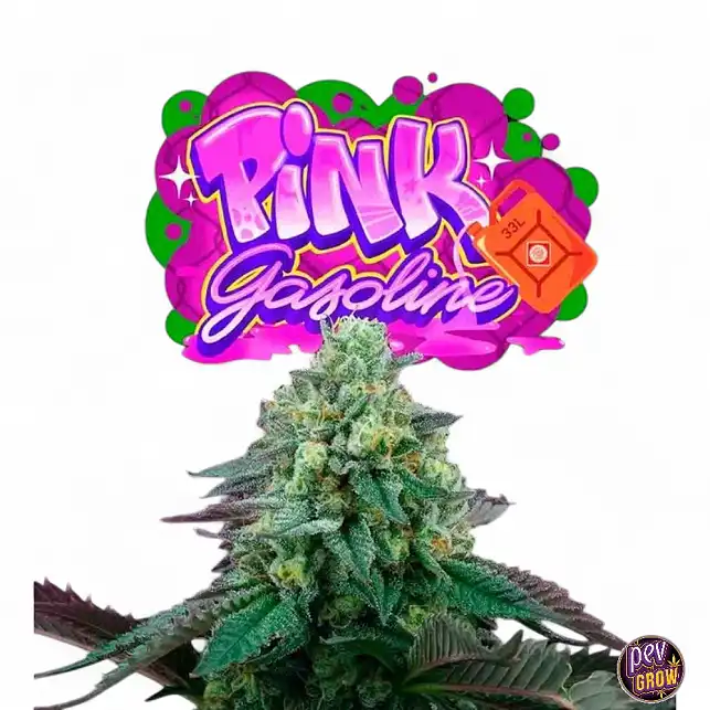 Pink Gasoline Perfect Tree