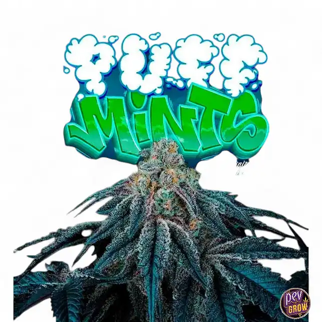 Puff Mints Perfect Tree