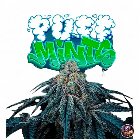 Puff Mints Perfect Tree