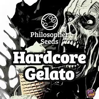 Hardcore Gelato by Philosopher Seeds: A Unique Sensory Experience