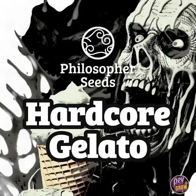 Hardcore Gelato di Philosopher Seeds: Un'Esperienza Sensoriale Unica