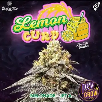 Lemon Curd feminiserte frø...