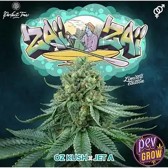 ZaïZaï Perfect Tree Seeds –...