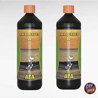 ATA Awa Leaves A+B da Atami...