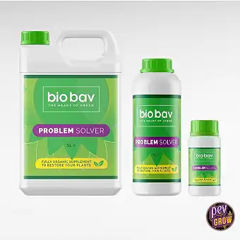 Bio Bav Problem Solver –...
