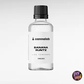 Isolated Terpenes Derived...