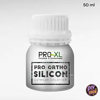 Pro Ortho Silicon by Pro XL...