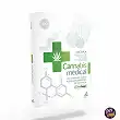 Book -Medical Cannabis- Ed.2013 - French