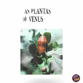 Piante di Venere C. Ratsch - Spagnolo