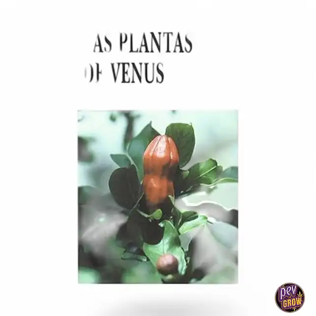 Plantas de Venus C. Ratsch -en Español