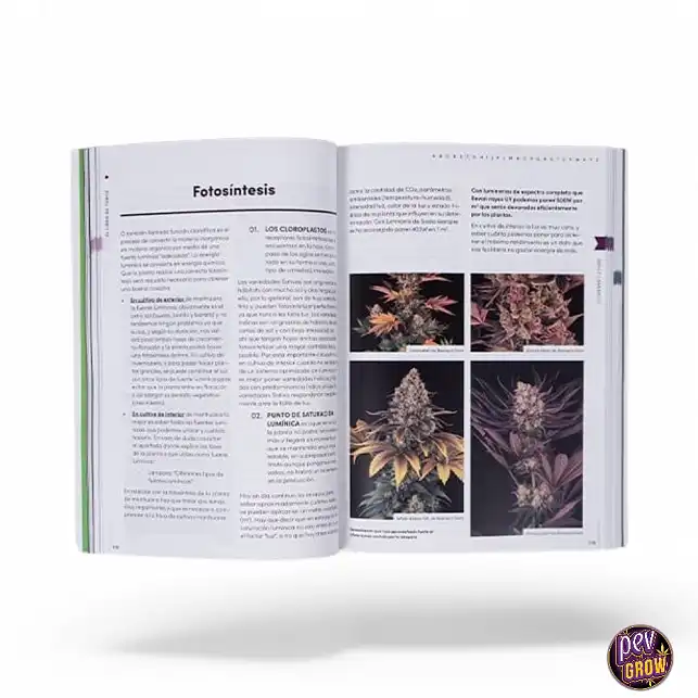 The Book of Toni13 - Spanish