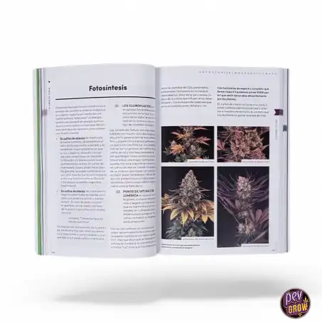 The Book of Toni13 - Spanish