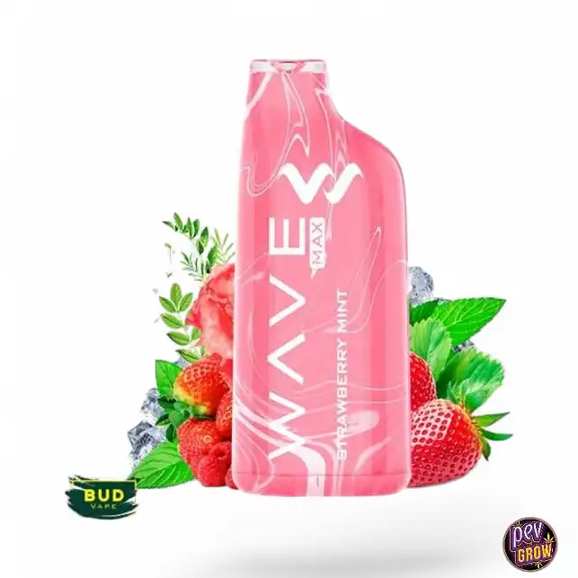 Disposable Vape Strawberry Mint Wave Max 8000 Bud Vape 0mg