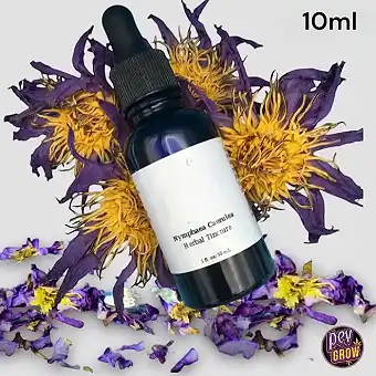 Tintura de Lotus Blau...