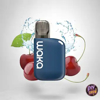 Puff rechargeable Waka...