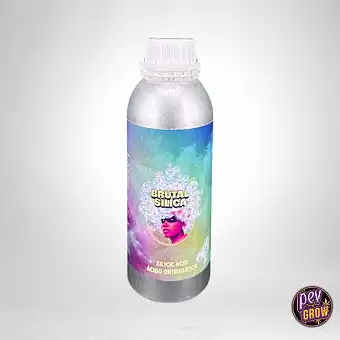 Brutal Silica –...