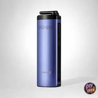 X-MAX Starry V4 Purple...