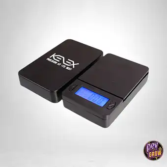 Cantar Kenex Simplex (0,01g...