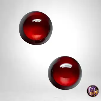Perlas Terp 4mm (2unds)