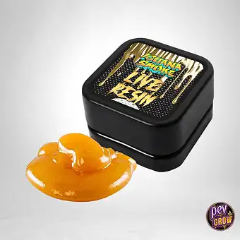 Live Resin 84% CBD –...