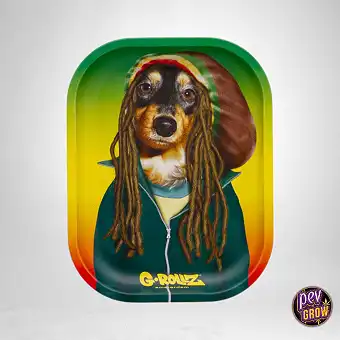 Kleine Metalen Rolling Tray...