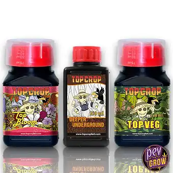 Tripack Top Crop – Комплект...