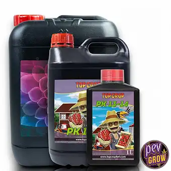 PK 13-14 Top Crop –...